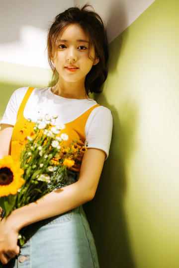 菠萝视频高清免费观看电视剧